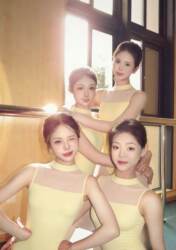 Ballet Dance Leotard with Small Stand-Up Collar for Women, Training and Exam Gymnastics Outfit, Rhythmic Clothing, Sherbin Body Shape Aerial Yoga Outfit