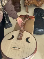 专业中阮乐器梧桐木制酸枝木中阮514Z 奥氏黄檀木材质钢品