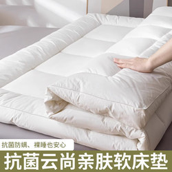 Violet Anti-Mite and Antibacterial Cloud-Like Skin-Friendly Corn Soft Mattress for Student Dormitories, Lightweight and Soft Mattress for Home Use