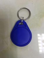 School Meal Card Access Control ID Key Chain For Attendance And Consumption