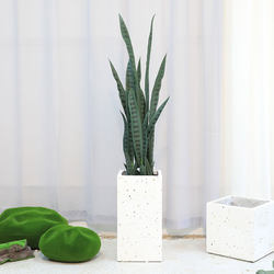 High-Quality Artificial Green Snake Plant Potted Indoor Fake Plant Decorative Ornament Nordic Style ins Faux Green Plant