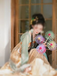Eight rounds of windmill handmade dyeing Tang costumes Hanfu national clothes show a show
