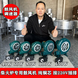 220V Ac Blower with Strong Airflow and High Power, Can Be Equipped with a Speed Controller, Stove Combustion Aid Centrifugal Fan with Iron Casing