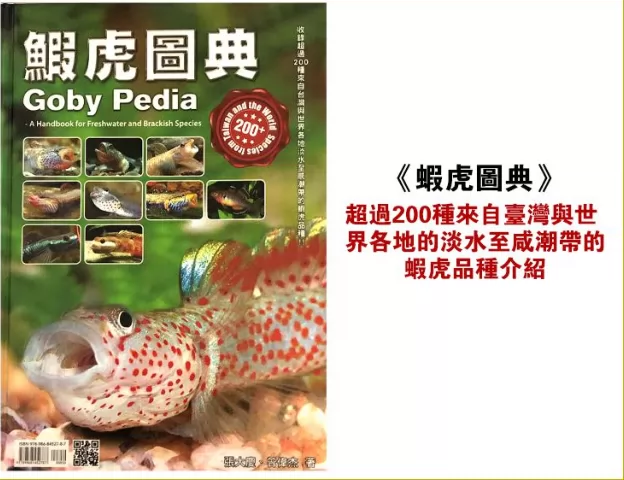 台湾威智水族生态各种大型鱼龙鱼肉食鱼金鱼水晶鳌