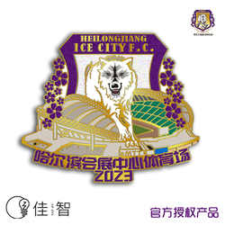 China League One - Heilongjiang Bingcheng Football Club 2023 Season Home Limited Distintivo Commemorativo
