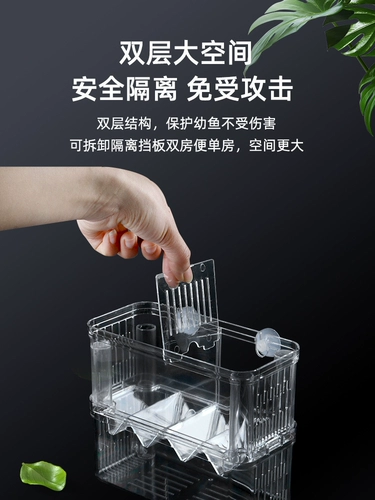 Ящик для изоляции рыбы, ящик для размножения рыбы в павлинах