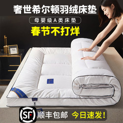 Luxurious Hilton down Mattress Soft Cushion for Home Bedroom, Hotel Mattress, Student Dormitory Tatami Mat