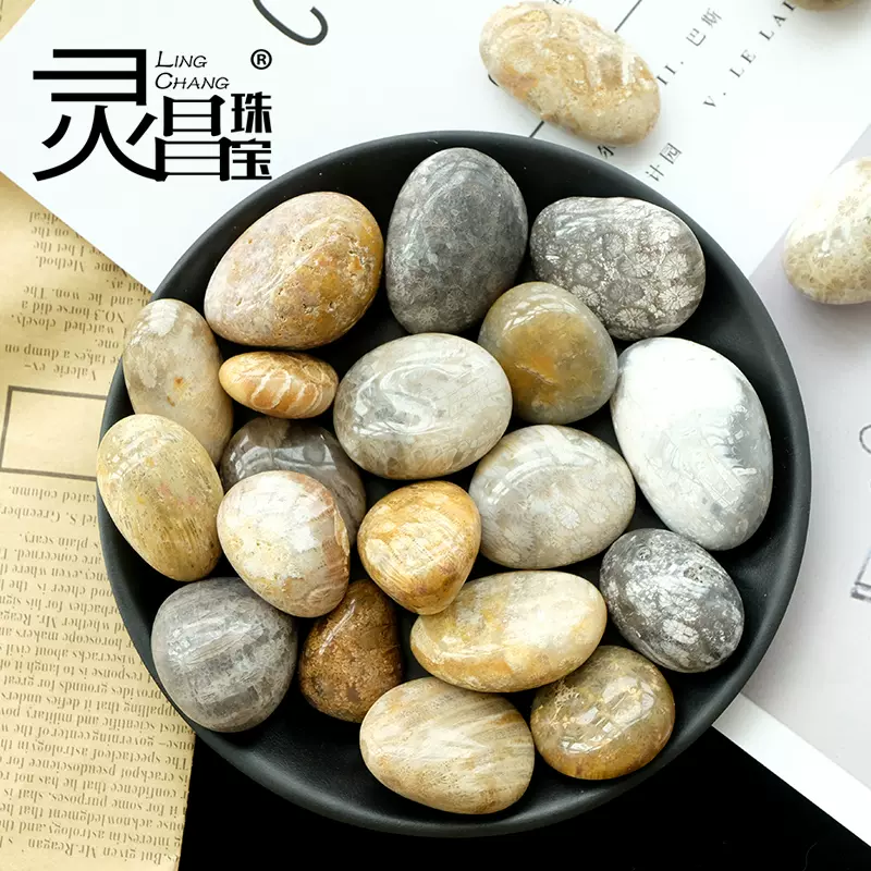 靈昌天然珊瑚玉碎石化石異象菊花石原石擺件標本魚缸石子花盆裝飾-Taobao