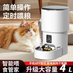 Remote Pet Automatic Feeder Stainless Steel Wifi Dog and Cat Smart Feeding Mobile Phone Timed and Quantitative Wireless