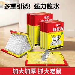 Powerful Sticky Mouse Board, Mouse Trap Tool, Enlarged Strong Adhesive, Thickened Mouse-Catching Sticky Board, Rodent-Killing Bait, Household Mouse Trap