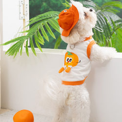 26 Years of New Spring and Summer Cartoon Apple Pet Vests, Breathable Cat Pet Clothing, Dog Clothes with Leash Attachment