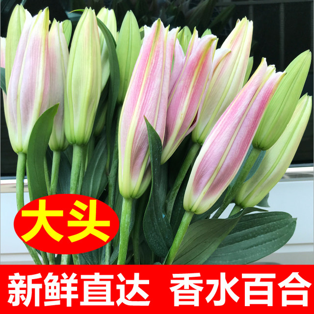 Flower bouquet Yunnan Kunming base straight hair perfume lily express same city rose Valentine's Day Teacher's Day gift