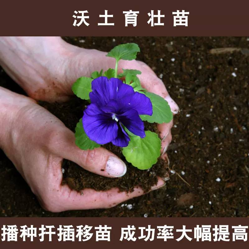 包邮30升营养土泥炭土盆栽土花土土壤培养土种