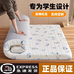 Mattress for Dormitory Students, Single Soft Pad 90X190Cm, Bedding, Tatami Mattress, Special Mattress for Rental Housing