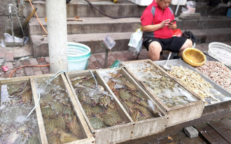 节后海鲜价格骤降，想吃海鲜要趁早！(图3)