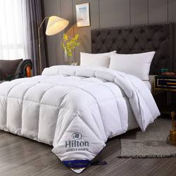 Hotel Quilt Duvet Double Hilton Winter Warm Feather Velvet Quilt Core Summer and Winter