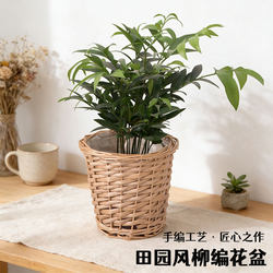 Pastoral Style Wicker Flower Basket, Hand-Woven Craft, Desktop Decoration Storage Basket, Nordic Style Woven Tote Basket