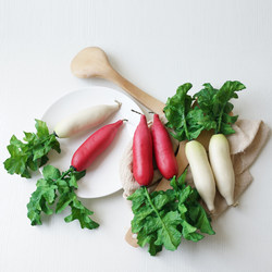 Red-Skinned Water Radish Artificial Vegetable Model Fake Fruit Farmhouse Decoration Props Kitchen Cabinet Model Display