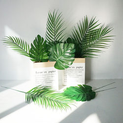 Fake Turtle Leaf Loose-Tailed Sunflower Plant Photo Artificial Flower Indoor ins Decorative Artificial Flower Green Plant Scandinavian Literary and Artistic Furnishings