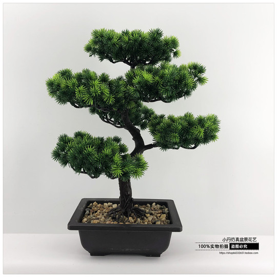 indoor plant pots large LE TAUCI 12 Inch Pot for Plants, Ceramic Large Planter for Indoor Plan   LETAUCI