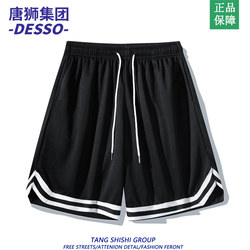 Tangshi Group Desso Ice Silk Mesh Shorts Men's Summer American-Style Loose Sports Pants Basketball Quick-Drying Five-Point Shorts