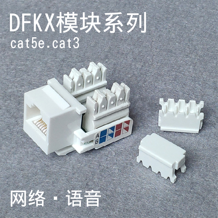 DFKX ǻ  Ʈũ  CAT3 CAT5E 뿪  100M  īװ 5   -