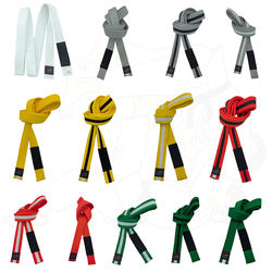 Brazilian Jiu-Jitsu Belt Bjj Youth and Children under 16 Years Old Grade System Brazilian Jiu-Jitsu