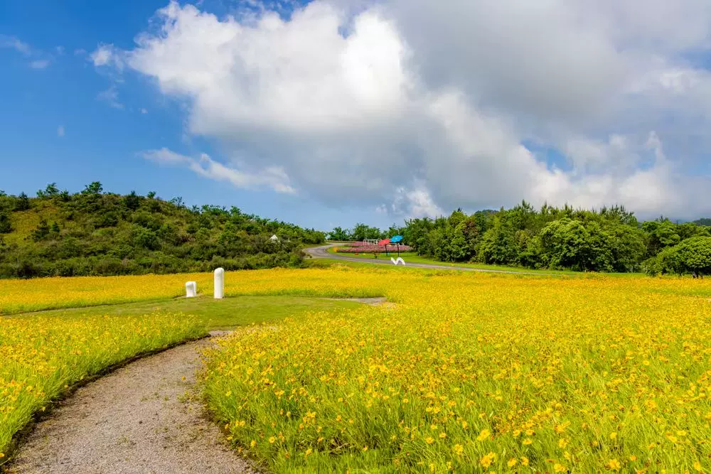 千岛湖理想花园图片