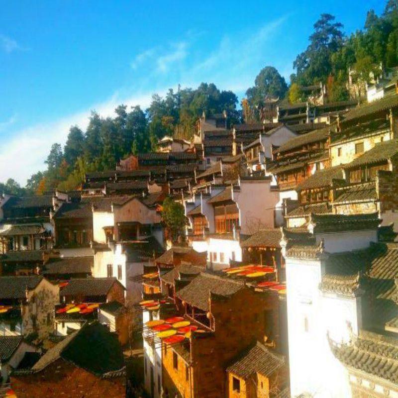 江西夜游望仙谷醉美乡村篁岭三清山安徽大美黄山纯玩5天4晚跟团游 - 定制游预订