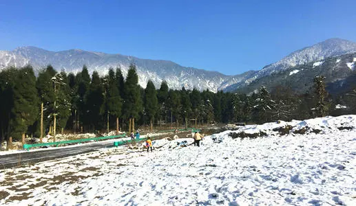 龙池国家森林公园图片