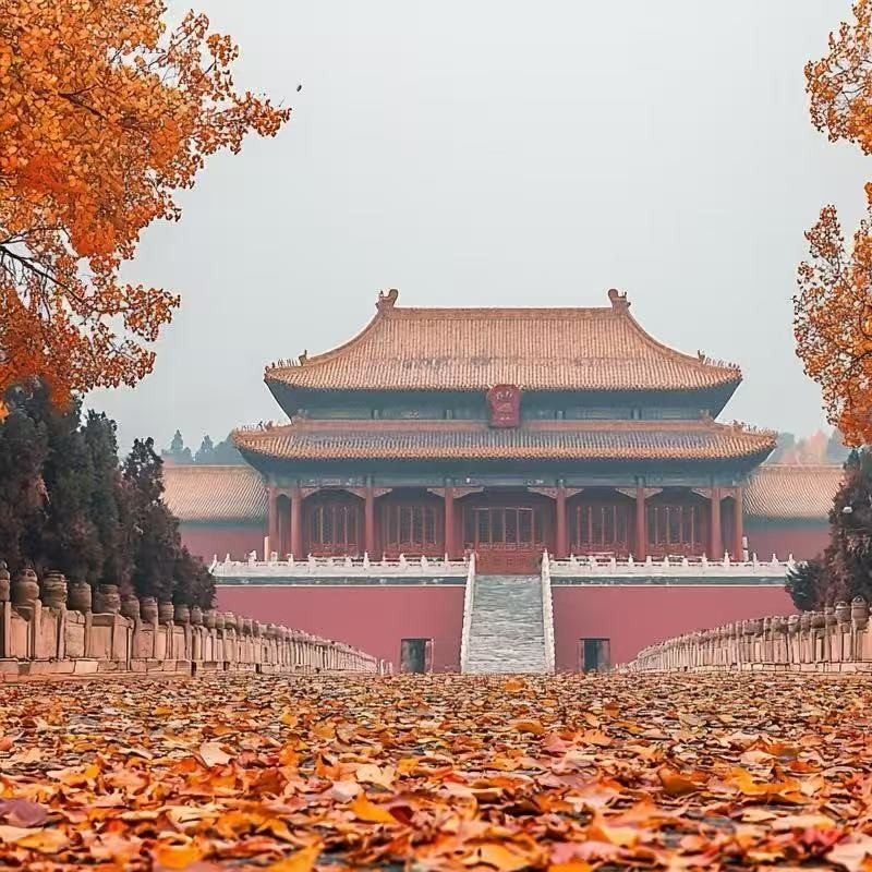 北京故宫博物院(故宫)精讲半日游【含门票+导游精讲+无购物】 - 定制游预订