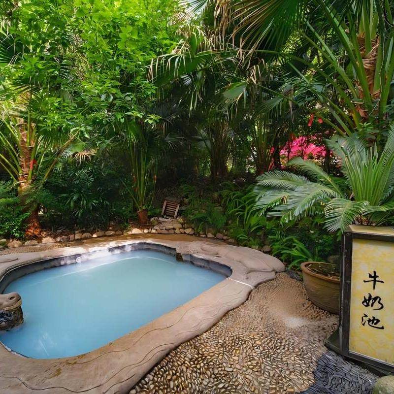 郴州莽山森林温泉酒店 高级双人房5天4晚+莽山森林温泉门票