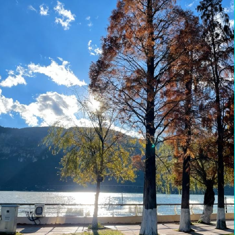 【周末游】昆明南屏街希尔顿酒店3天2晚自由行+滇池+民族村+昆明老街+翠湖公园