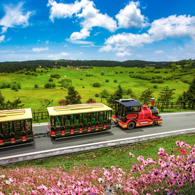 重庆武隆天生三桥仙女山解放碑洪崖洞李子坝重庆旅游4天3晚跟团游