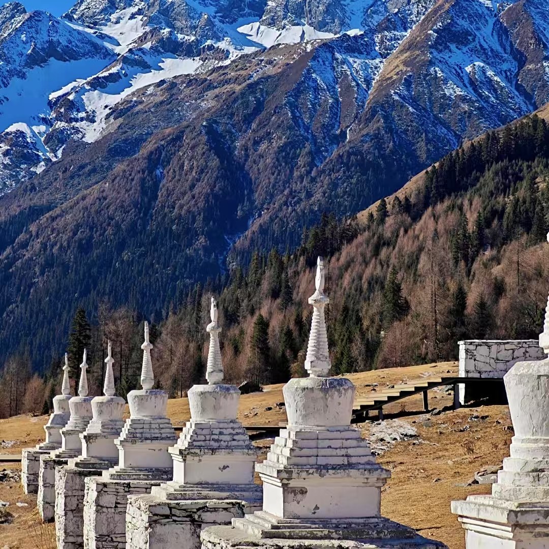 四姑娘山一日游*尊享私家团&不拼车&含门票观光车&纯玩&无购物