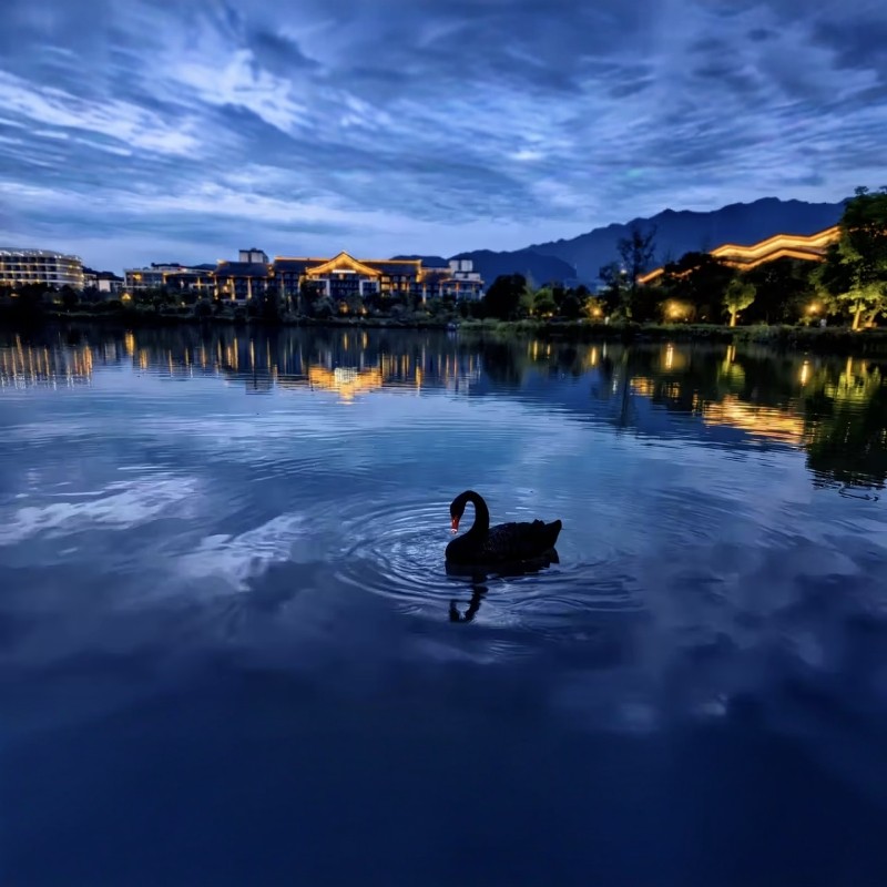 【乐享】成都融创施柏阁酒店 豪华街景阁1晚+双人热雪奇迹2小时娱雪+双人清城汤池 - 定制游预订