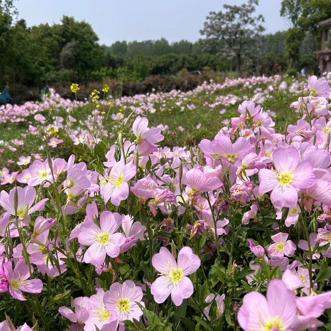 天堂寨天堂栖悦酒店住宿+天堂寨成人门票