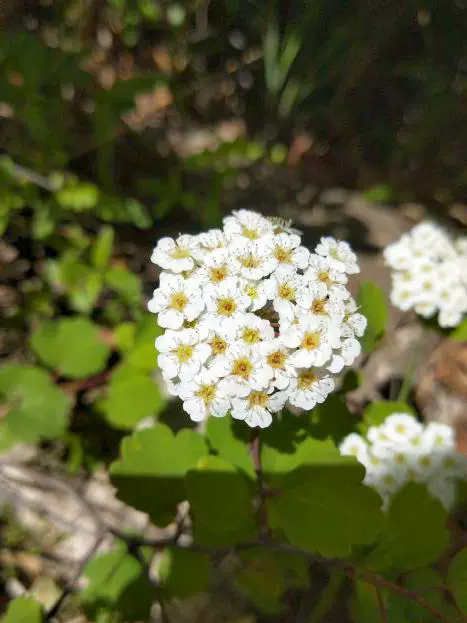 桃花溶洞景区图片