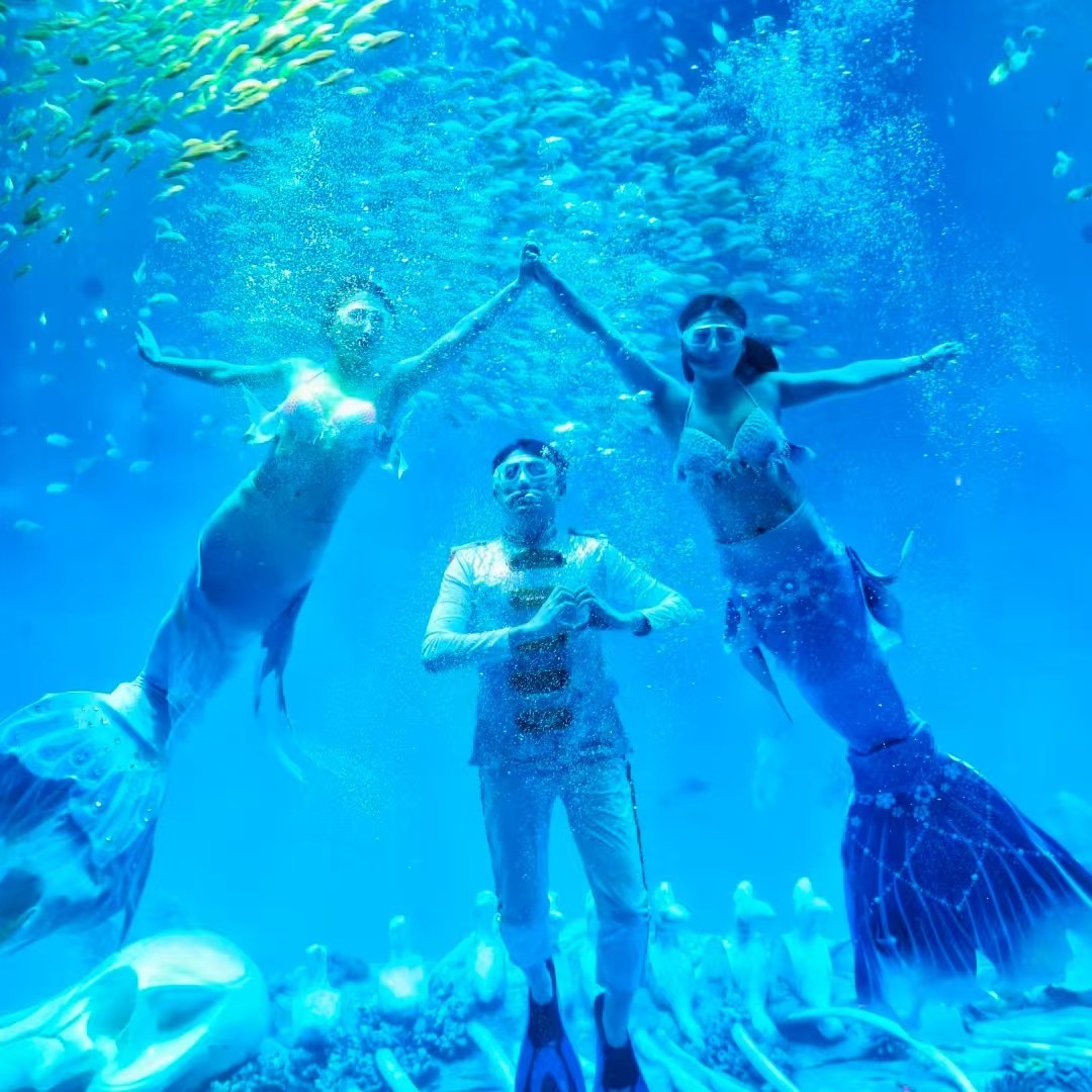 【畅享】合肥天源迪科国际会议中心酒店商务套房5天4晚+海洋世界