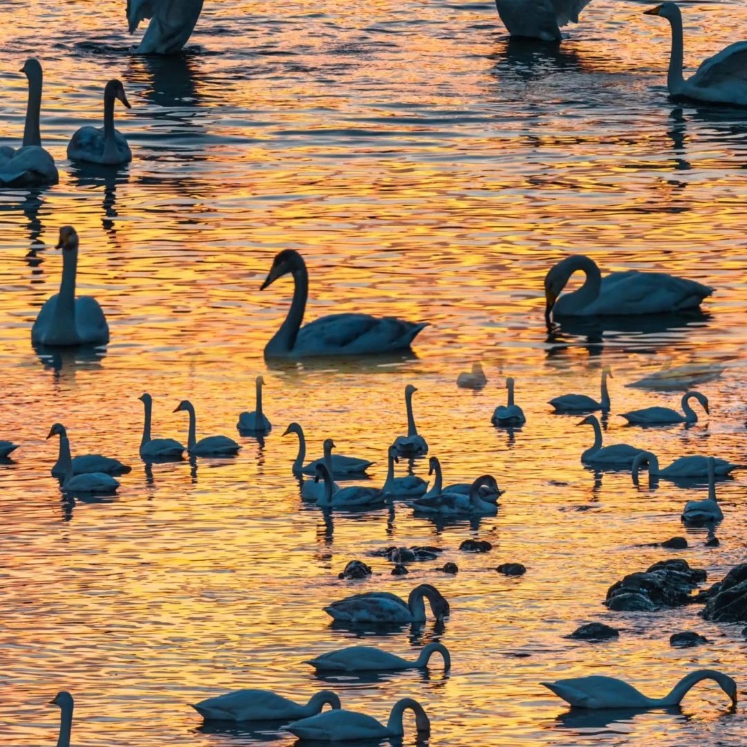 乔治莫兰迪酒店(威海火炬八街国际海水浴场店)住宿+刘公岛成人票