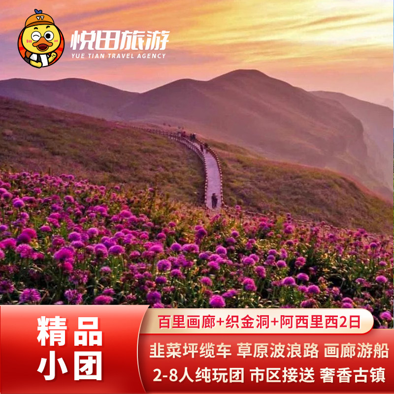 贵州毕节/六盘水至乌江源百里画廊织金洞阿西里西韭菜坪2日游小团 - 定制游预订