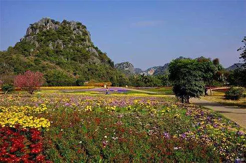 花花大世界图片