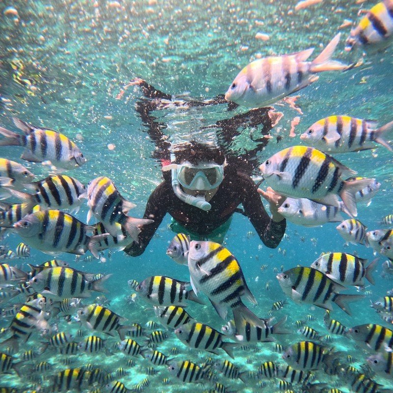 【嗨玩万宁】海南日月湾花间泊热浪里2晚+加井岛浮潜票
