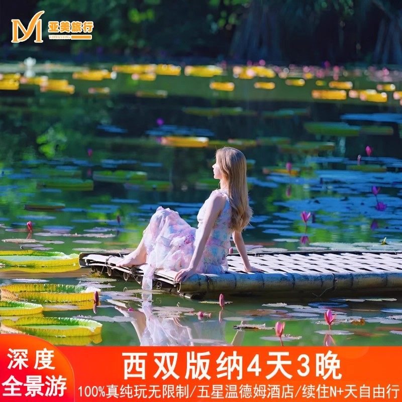 西双版纳旅行3晚4天跟团游星光夜市植物园望天树半自由行云南旅游 - 定制游预订