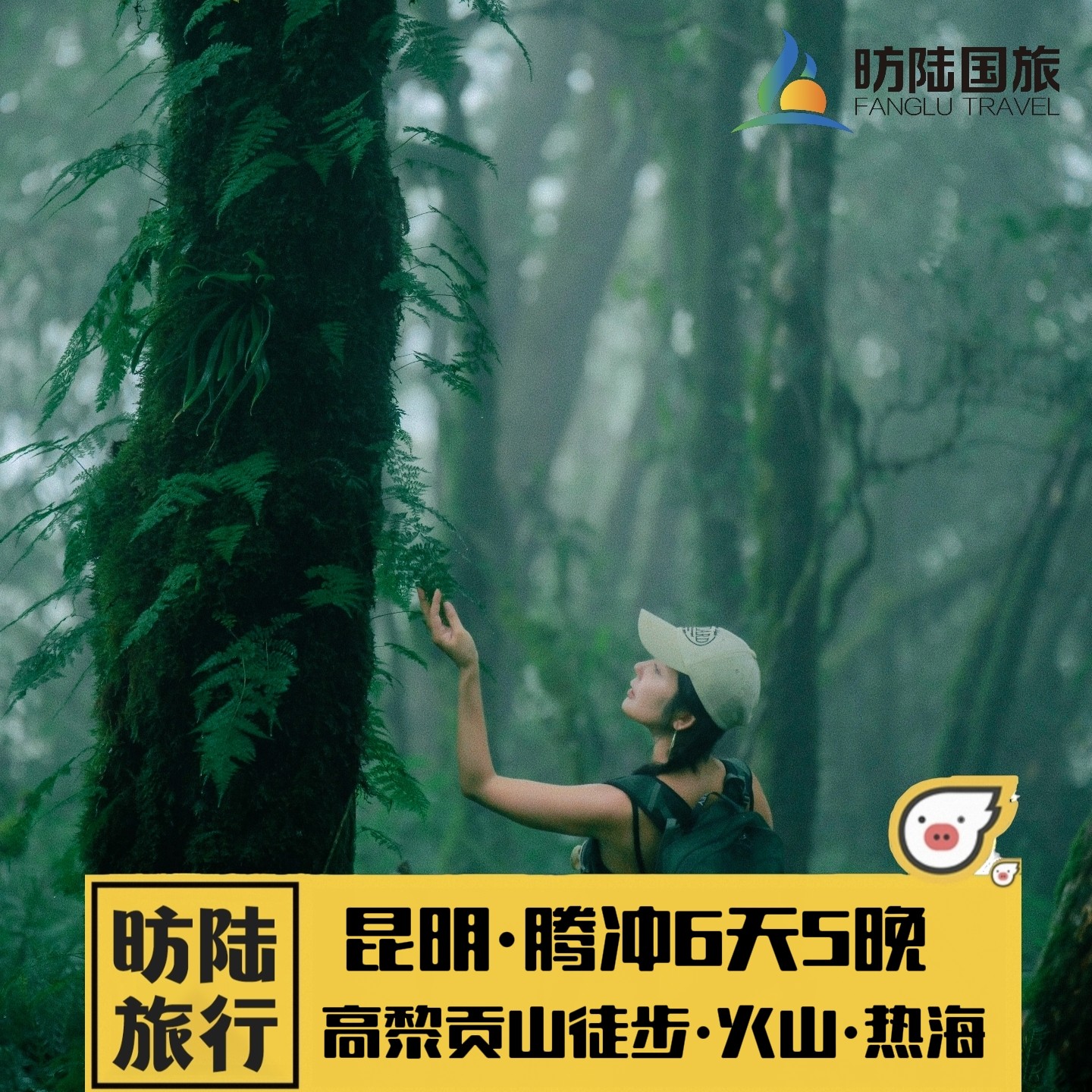 【飞猪臻选商家】昆明腾冲6天5晚纯玩私家团高黎贡山徒步天然温泉 - 定制游预订