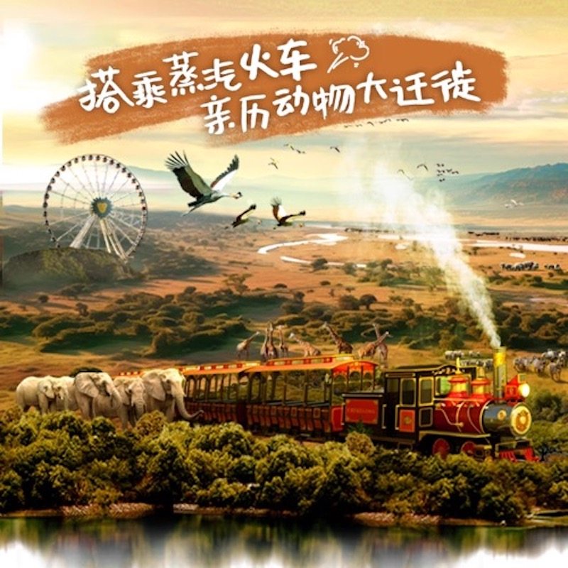 错峰特惠清远长隆森林王国1日门票亲子清远国际酒店套餐