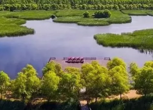 岛屿沼泽湿地图片