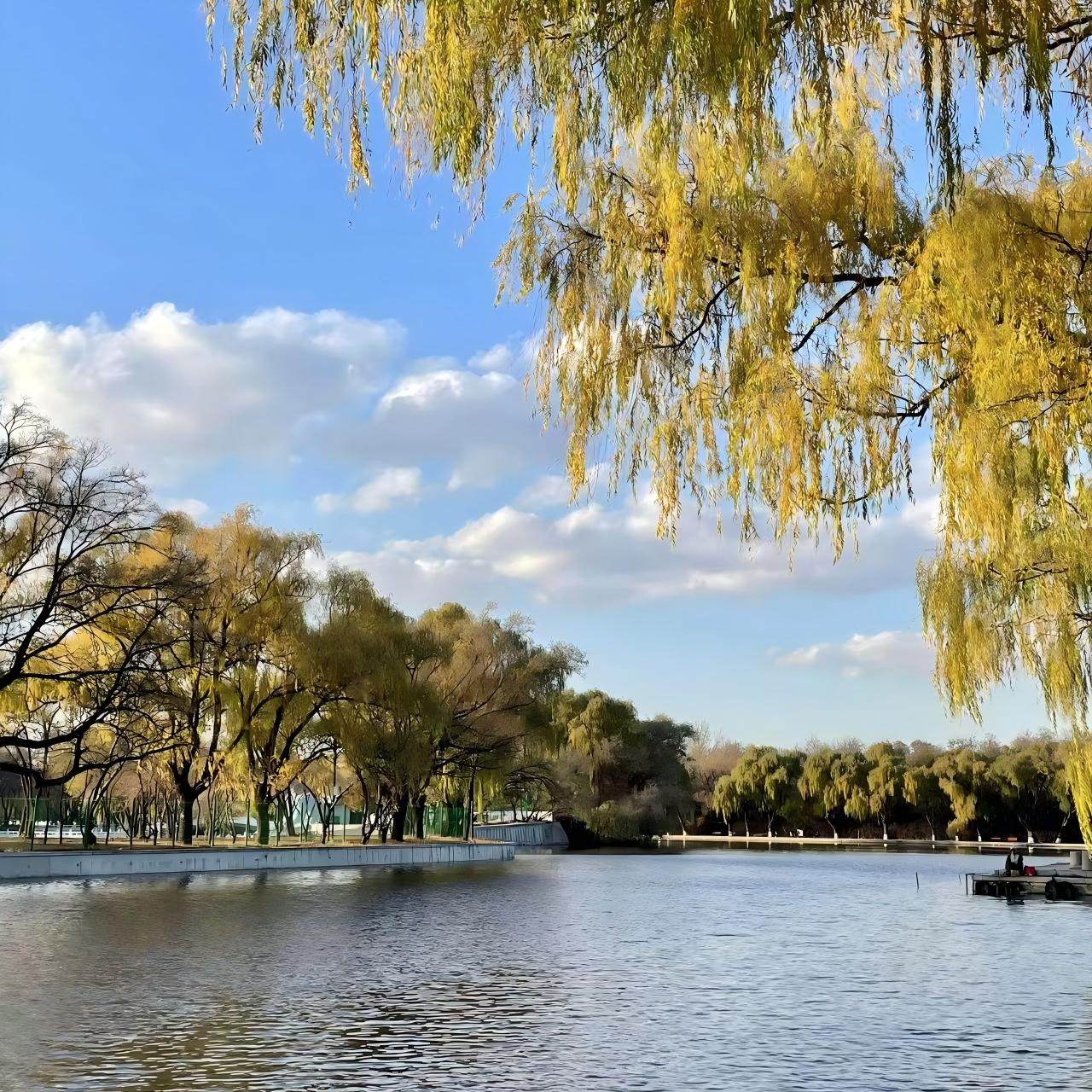 沈阳市区酒店住宿+沈阳方特乐园成人门票