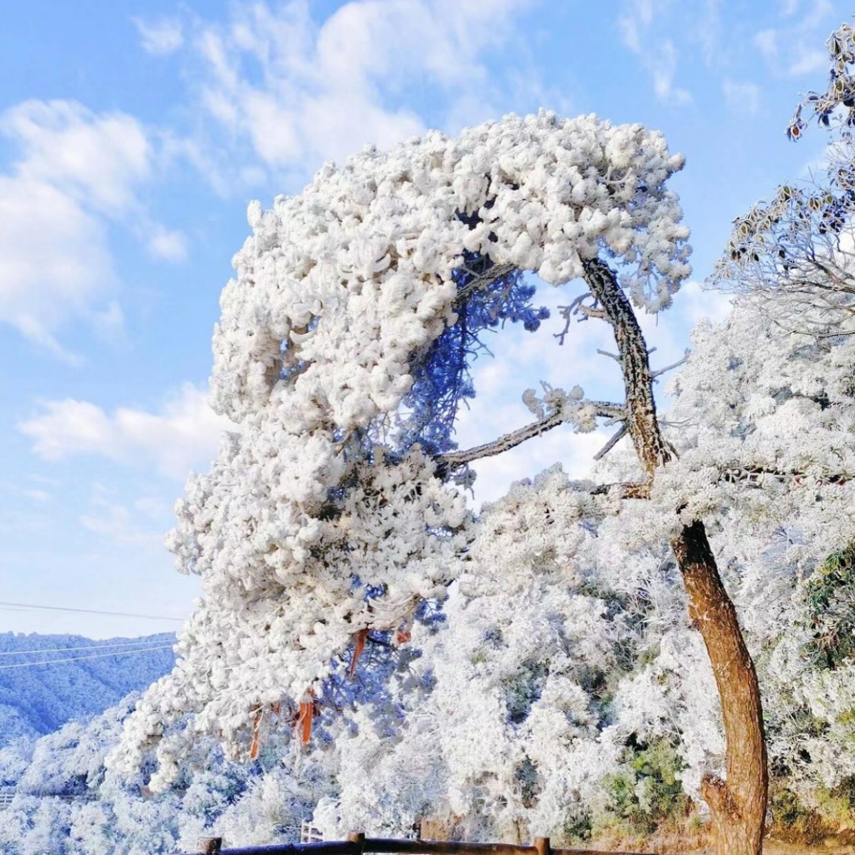 冬日爆款【冰雪云冰山+莽山五指峰2天】雾淞冰挂+悬空栈道-纯玩