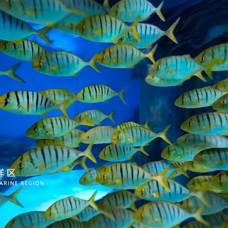 【寒假早鸟】赤峰%2天1晚自由行